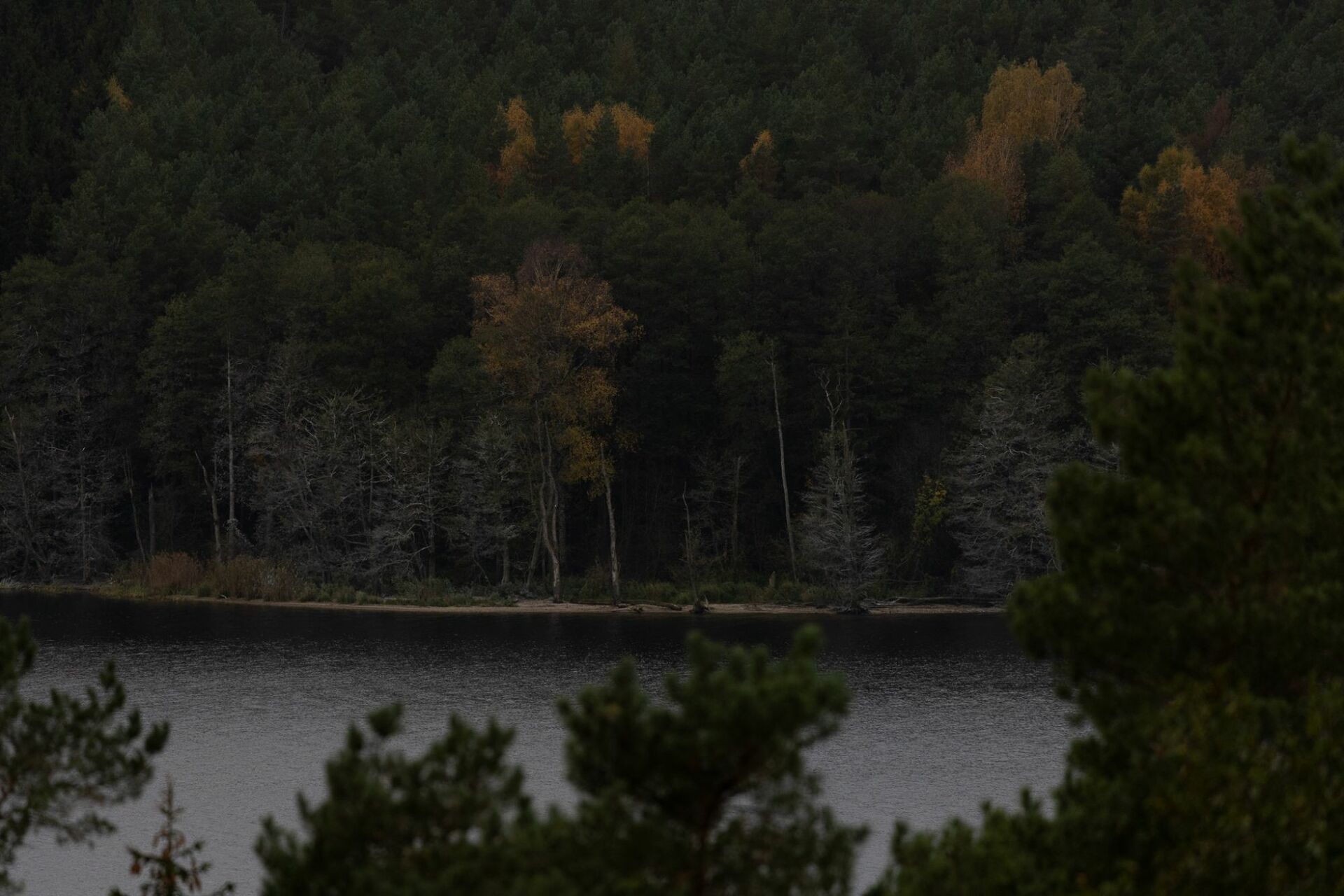 Vištyčio regioninis parkas