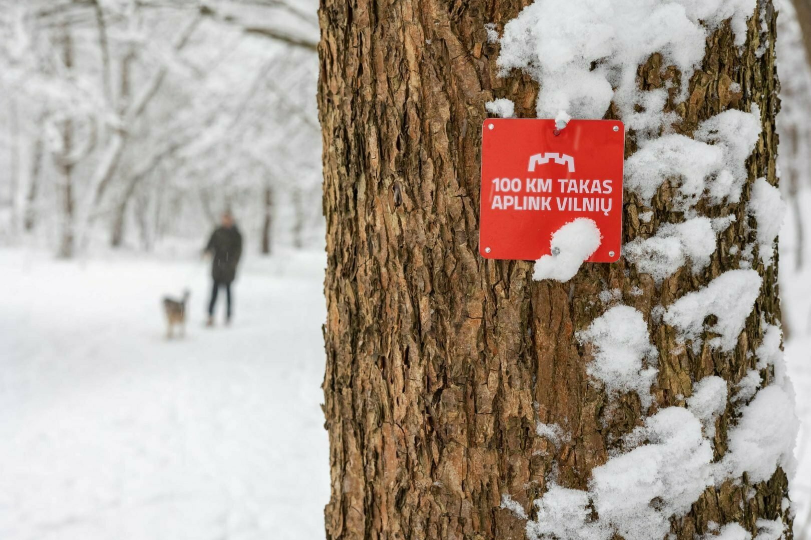 100 Kilometrų Take Aplink Vilnių – Naujos Kilpinės Trasos | We Love ...