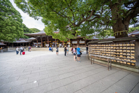 Meiji Jingu šintoistų šventykla, Harajuku rajonas