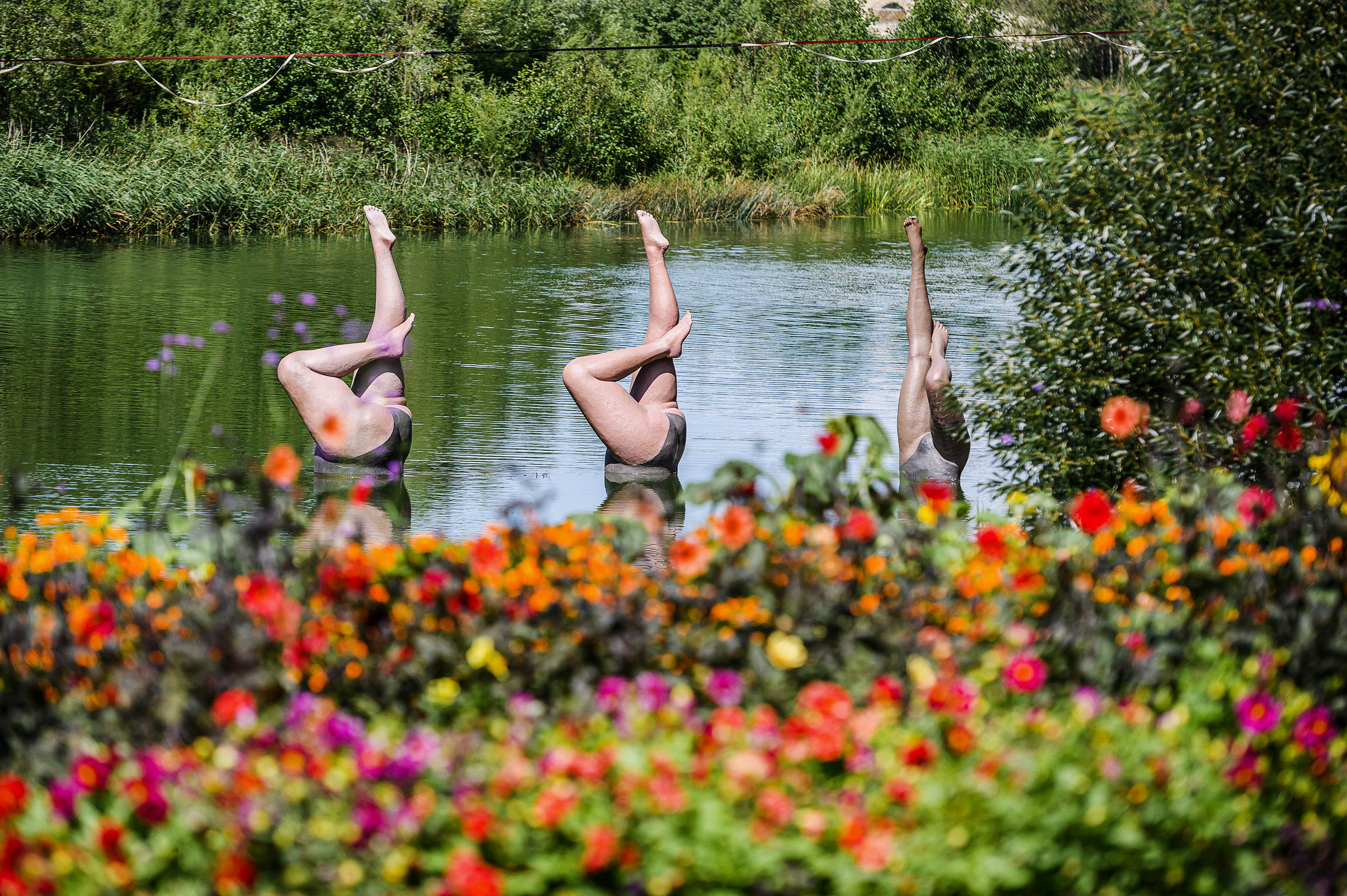 Gėlių ir meno festivalis